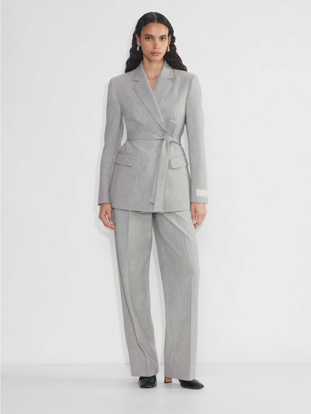 Aritzia babaton innovative blazer in chrome